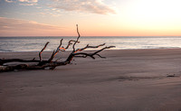Dawn No 7