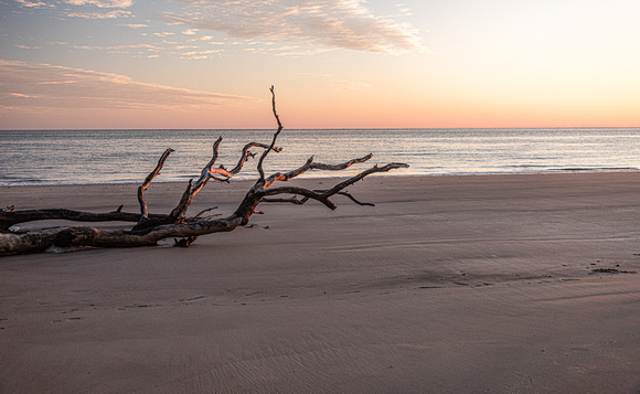 Dawn No 7
