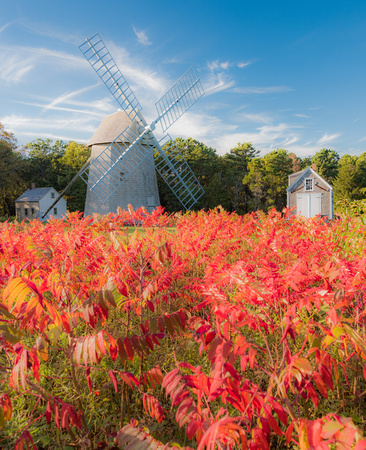 Fall Colors at the Old Higgin's Farm Windmill