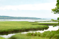 Quiet Ocean Marsh