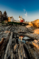 The New England Coast - DSC_6420